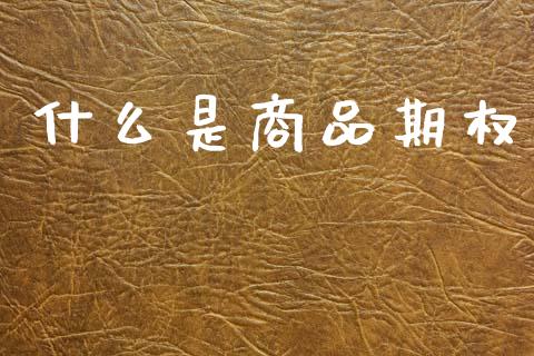 什么是商品期权_https://cj004.lansai.wang_债券资讯_第1张