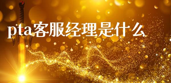 pta客服经理是什么_https://cj004.lansai.wang_外汇交易_第1张