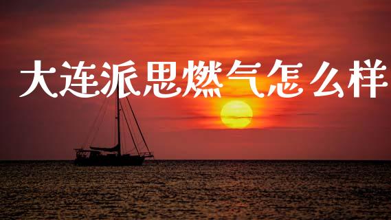 大连派思燃气怎么样_https://cj004.lansai.wang_债券资讯_第1张