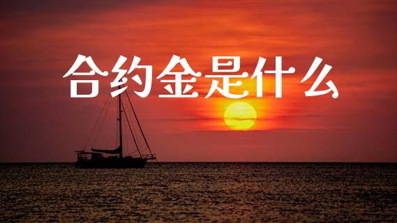 合约金是什么_https://cj004.lansai.wang_外汇交易_第1张