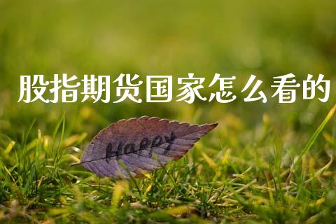 股指期货国家怎么看的_https://cj004.lansai.wang_金融监管_第1张