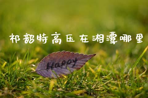 祁韶特高压在湘潭哪里_https://cj004.lansai.wang_外汇交易_第1张