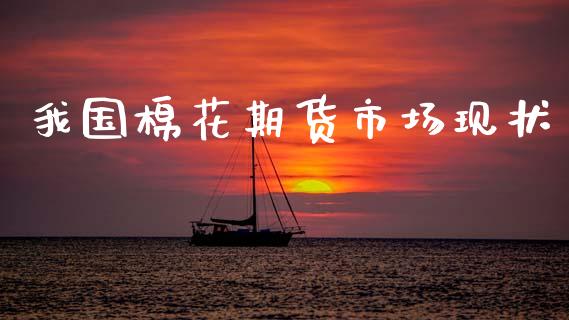 我国棉花期货市场现状_https://cj004.lansai.wang_全球市场_第1张