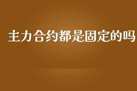 主力合约都是固定的吗_https://cj004.lansai.wang_财经新闻_第1张
