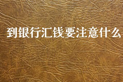 到银行汇钱要注意什么_https://cj004.lansai.wang_期货开户_第1张
