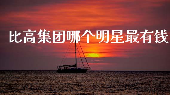 比高集团哪个明星最有钱_https://cj004.lansai.wang_金融监管_第1张