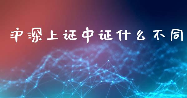 沪深上证中证什么不同_https://cj004.lansai.wang_外汇交易_第1张