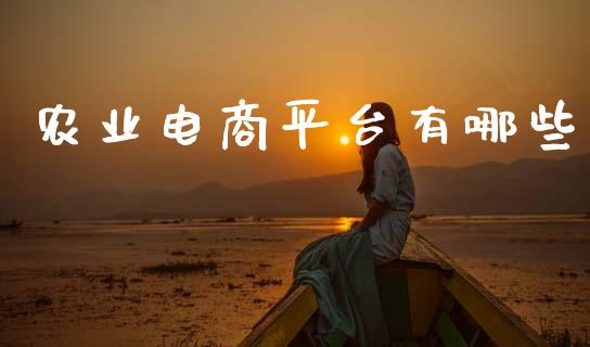农业电商平台有哪些_https://cj004.lansai.wang_财经新闻_第1张