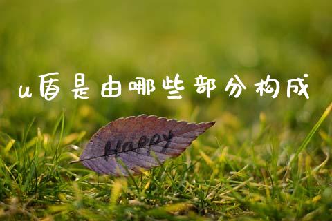 u盾是由哪些部分构成_https://cj004.lansai.wang_期货开户_第1张
