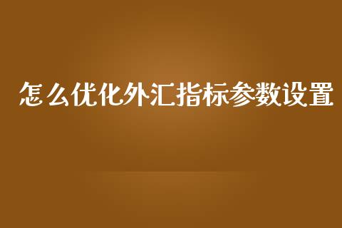 怎么优化外汇指标参数设置_https://cj004.lansai.wang_债券资讯_第1张