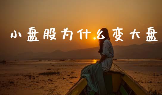 小盘股为什么变大盘_https://cj004.lansai.wang_期货开户_第1张