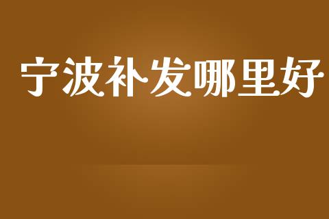 宁波补发哪里好_https://cj004.lansai.wang_债券资讯_第1张