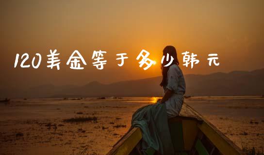 120美金等于多少韩元_https://cj004.lansai.wang_全球市场_第1张