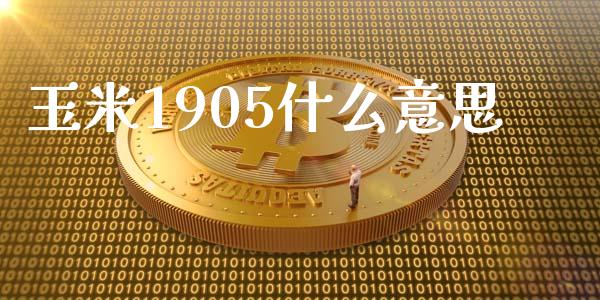 玉米1905什么意思_https://cj004.lansai.wang_期货开户_第1张