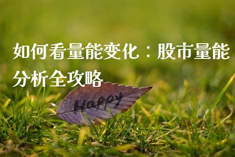 如何看量能变化：股市量能分析全攻略_https://cj004.lansai.wang_财经新闻_第1张