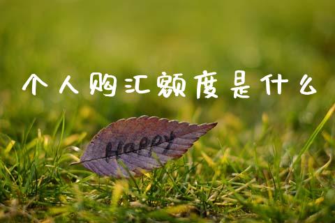 个人购汇额度是什么_https://cj004.lansai.wang_金融监管_第1张