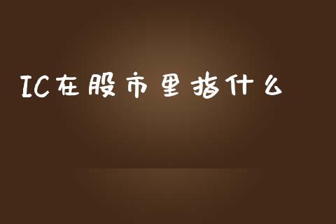 IC在股市里指什么_https://cj004.lansai.wang_外汇交易_第1张