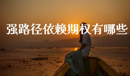 强路径依赖期权有哪些_https://cj004.lansai.wang_外汇交易_第1张