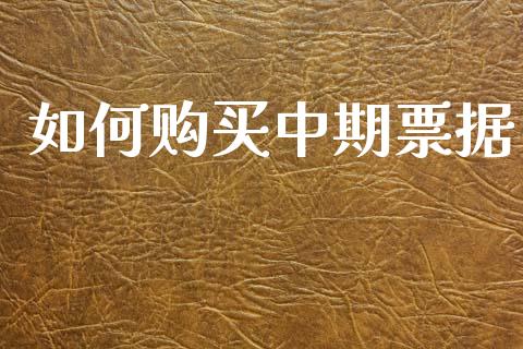 如何购买中期票据_https://cj004.lansai.wang_外汇交易_第1张
