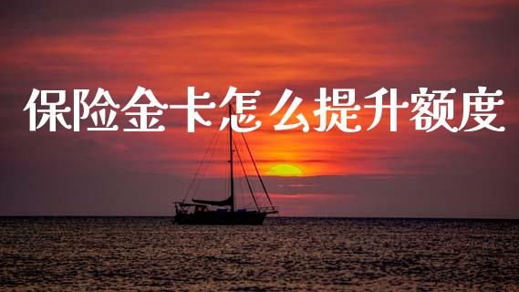 保险金卡怎么提升额度_https://cj004.lansai.wang_外汇交易_第1张