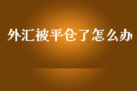 外汇被平仓了怎么办_https://cj004.lansai.wang_全球市场_第1张