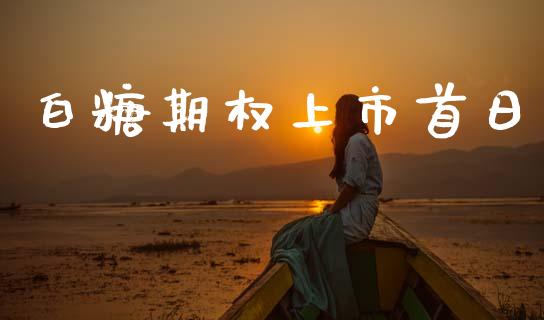 白糖期权上市首日_https://cj004.lansai.wang_财经新闻_第1张