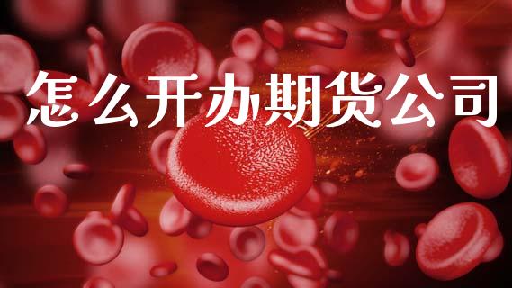 怎么开办期货公司_https://cj004.lansai.wang_外汇交易_第1张