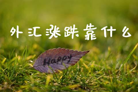 外汇涨跌靠什么_https://cj004.lansai.wang_期货开户_第1张