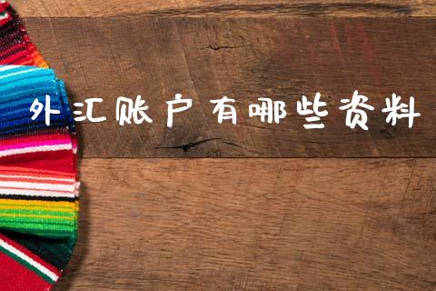 外汇账户有哪些资料_https://cj004.lansai.wang_财经新闻_第1张