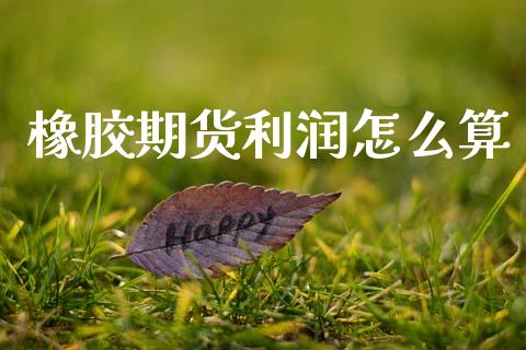 橡胶期货利润怎么算_全球市场_第1张_期货开户_金融监管_外汇交易_债券资讯_全球市场_财经新闻 橡胶期货利润怎么算_https://cj004.lansai.wang_全球市场_第1张