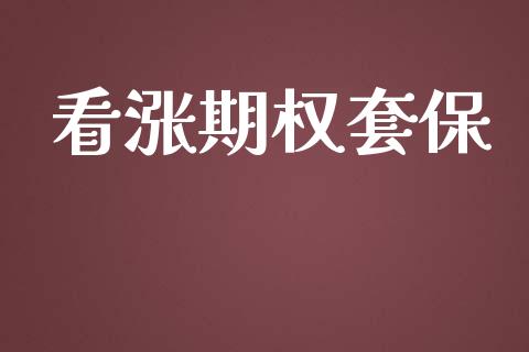 看涨期权套保_https://cj004.lansai.wang_期货开户_第1张