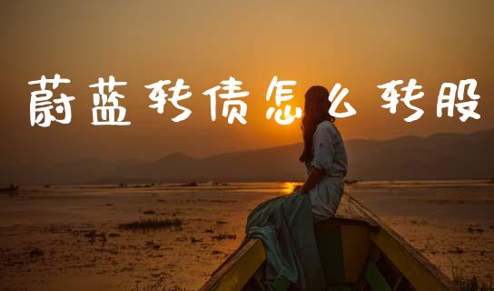 蔚蓝转债怎么转股_https://cj004.lansai.wang_期货开户_第1张