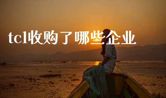 tcl收购了哪些企业_https://cj004.lansai.wang_全球市场_第1张
