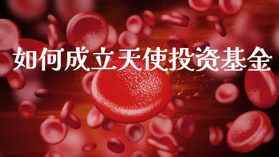 如何成立天使投资基金_https://cj004.lansai.wang_期货开户_第1张