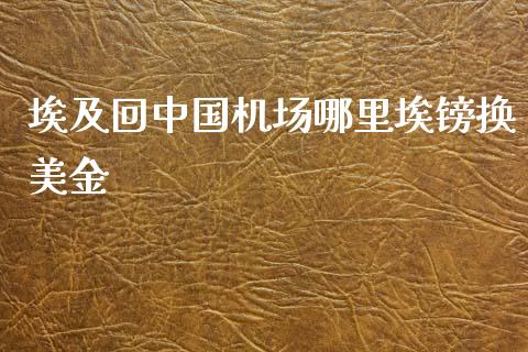 埃及回中国机场哪里埃镑换美金_https://cj004.lansai.wang_期货开户_第1张