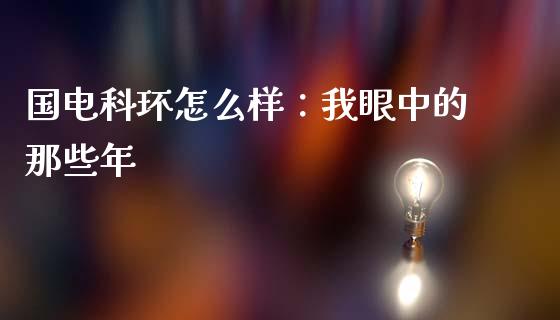 国电科环怎么样：我眼中的那些年_https://cj004.lansai.wang_金融监管_第1张