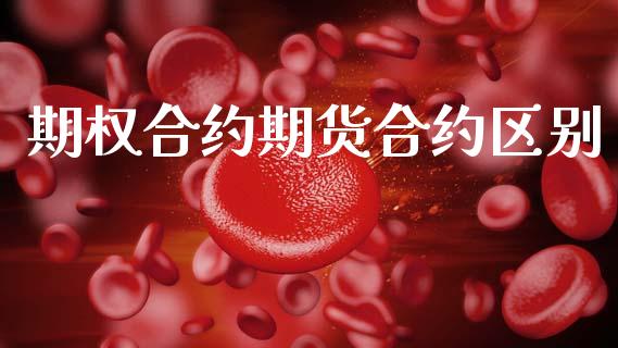 期权合约期货合约区别_https://cj004.lansai.wang_债券资讯_第1张