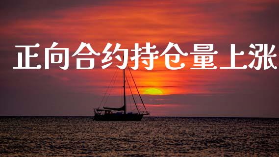 正向合约持仓量上涨_https://cj004.lansai.wang_财经新闻_第1张