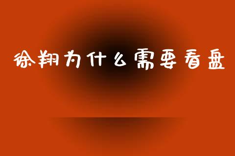 徐翔为什么需要看盘_https://cj004.lansai.wang_债券资讯_第1张