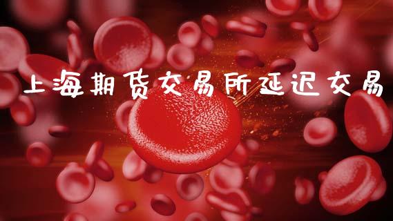 上海期货交易所延迟交易_https://cj004.lansai.wang_全球市场_第1张