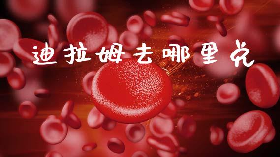 迪拉姆去哪里兑_https://cj004.lansai.wang_外汇交易_第1张