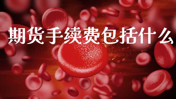 期货手续费包括什么_https://cj004.lansai.wang_财经新闻_第1张