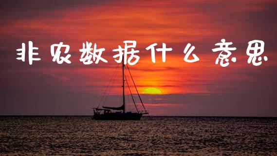非农数据什么意思_https://cj004.lansai.wang_金融监管_第1张