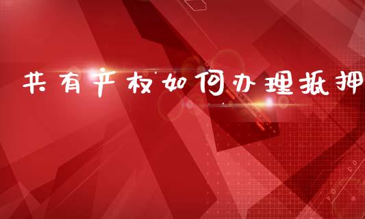 共有产权如何办理抵押_https://cj004.lansai.wang_全球市场_第1张