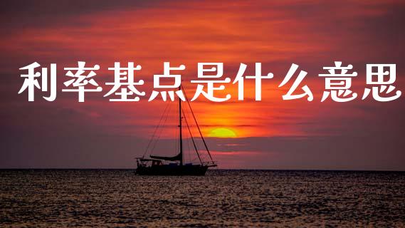 利率基点是什么意思_https://cj004.lansai.wang_外汇交易_第1张