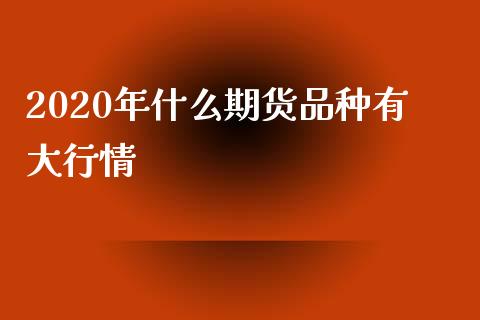 2020年什么期货品种有大行情_https://cj004.lansai.wang_财经新闻_第1张