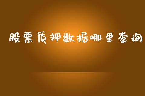 股票质押数据哪里查询_https://cj004.lansai.wang_期货开户_第1张
