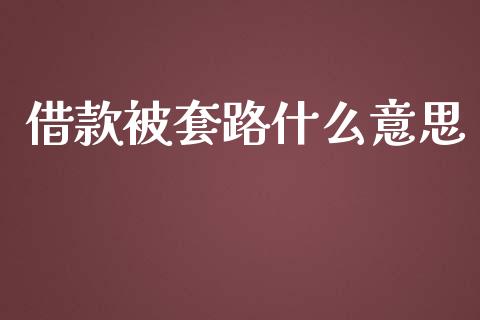 借款被套路什么意思_https://cj004.lansai.wang_债券资讯_第1张