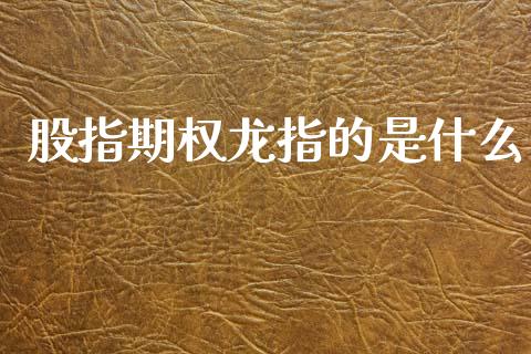 股指期权龙指的是什么_https://cj004.lansai.wang_期货开户_第1张