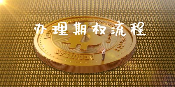 办理期权流程_https://cj004.lansai.wang_债券资讯_第1张